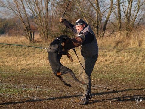 The christmas training 27.12.2006